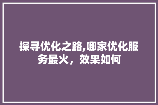探寻优化之路,哪家优化服务最火，效果如何 探寻优化之路,哪家优化服务最火，效果如何 网站建设公司