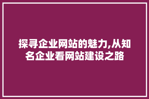 探寻企业网站的魅力,从知名企业看网站建设之路 探寻企业网站的魅力,从知名企业看网站建设之路 神马SEO