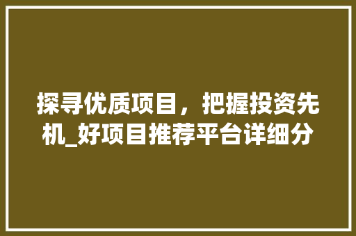 探寻优质项目，把握投资先机_好项目推荐平台详细分析 探寻优质项目，把握投资先机_好项目推荐平台详细分析 SEO关键词