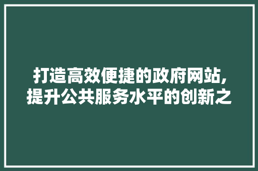 打造高效便捷的政府网站,提升公共服务水平的创新之路 打造高效便捷的政府网站,提升公共服务水平的创新之路 网站建设公司