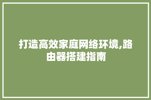 打造高效家庭网络环境,路由器搭建指南 打造高效家庭网络环境,路由器搭建指南 网站建设公司