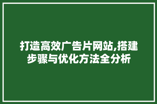 打造高效广告片网站,搭建步骤与优化方法全分析 打造高效广告片网站,搭建步骤与优化方法全分析 SEO关键词