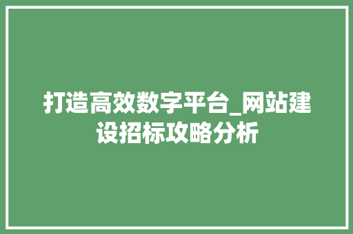 打造高效数字平台_网站建设招标攻略分析 打造高效数字平台_网站建设招标攻略分析 必应SEO