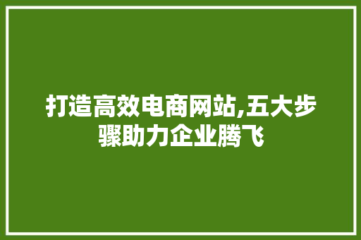 打造高效电商网站,五大步骤助力企业腾飞 打造高效电商网站,五大步骤助力企业腾飞 网站建设公司