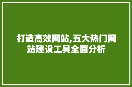 打造高效网站,五大热门网站建设工具全面分析 打造高效网站,五大热门网站建设工具全面分析 网站建设公司