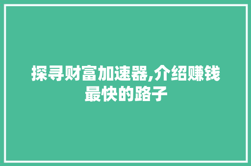 探寻财富加速器,介绍赚钱最快的路子 探寻财富加速器,介绍赚钱最快的路子 必应SEO
