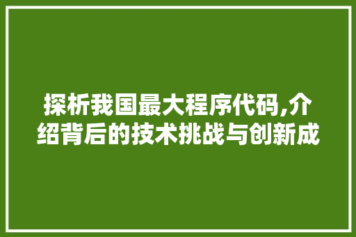 探析我国最大程序代码,介绍背后的技术挑战与创新成果 探析我国最大程序代码,介绍背后的技术挑战与创新成果 神马SEO