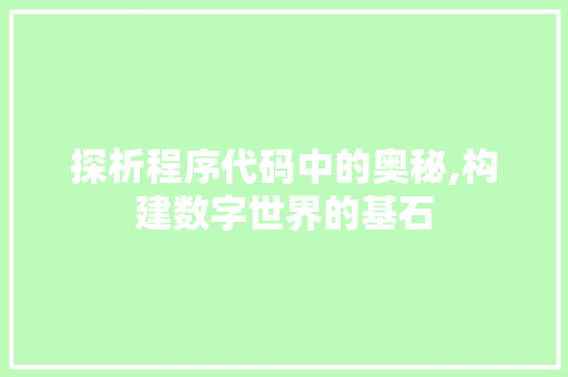 探析程序代码中的奥秘,构建数字世界的基石 探析程序代码中的奥秘,构建数字世界的基石 搜狗SEO