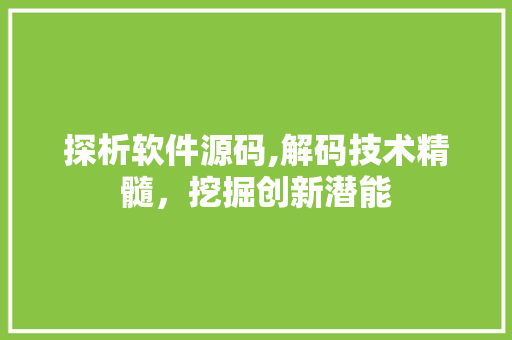 探析软件源码,解码技术精髓，挖掘创新潜能 探析软件源码,解码技术精髓，挖掘创新潜能 必应SEO