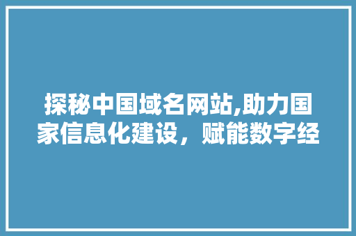 探秘中国域名网站,助力国家信息化建设，赋能数字经济新篇章 探秘中国域名网站,助力国家信息化建设，赋能数字经济新篇章 神马SEO