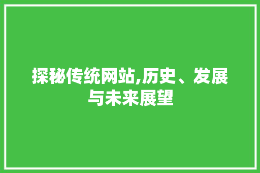 探秘传统网站,历史、发展与未来展望 探秘传统网站,历史、发展与未来展望 网站建设公司
