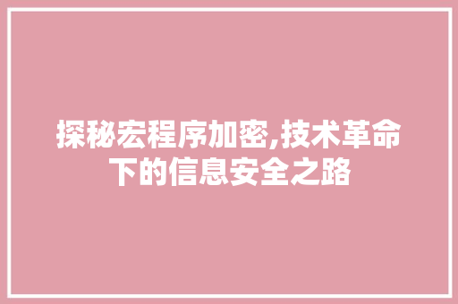 探秘宏程序加密,技术革命下的信息安全之路 探秘宏程序加密,技术革命下的信息安全之路 SEO关键词