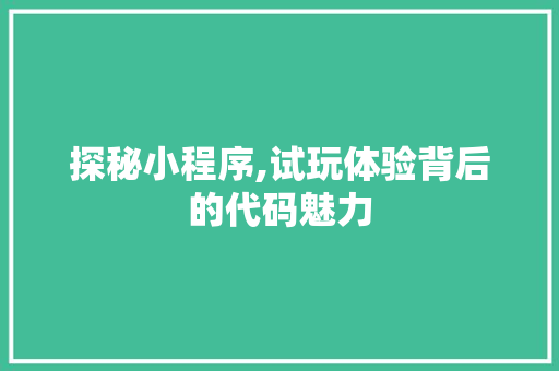 探秘小程序,试玩体验背后的代码魅力 探秘小程序,试玩体验背后的代码魅力 神马SEO