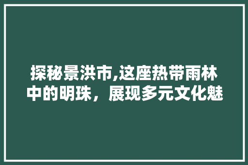探秘景洪市,这座热带雨林中的明珠，展现多元文化魅力