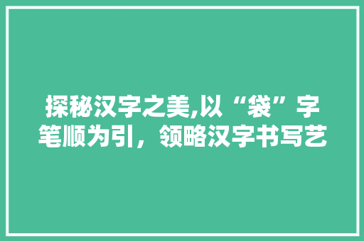 探秘汉字之美,以“袋”字笔顺为引，领略汉字书写艺术 探秘汉字之美,以“袋”字笔顺为引，领略汉字书写艺术 网站建设公司