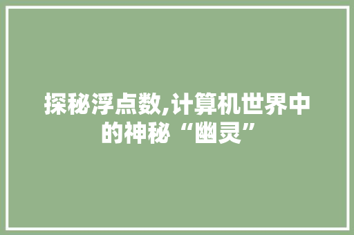 探秘浮点数,计算机世界中的神秘“幽灵” 探秘浮点数,计算机世界中的神秘“幽灵” SEO关键词