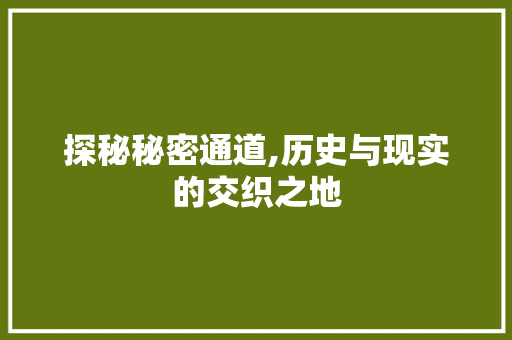 探秘秘密通道,历史与现实的交织之地 探秘秘密通道,历史与现实的交织之地 网站建设公司