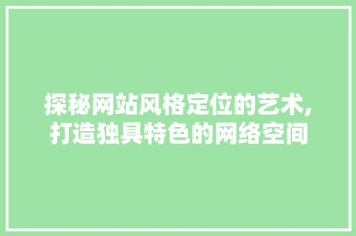 探秘网站风格定位的艺术,打造独具特色的网络空间