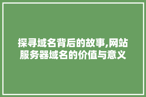 探寻域名背后的故事,网站服务器域名的价值与意义 探寻域名背后的故事,网站服务器域名的价值与意义 网站建设公司