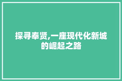 探寻奉贤,一座现代化新城的崛起之路 探寻奉贤,一座现代化新城的崛起之路 SEO关键词