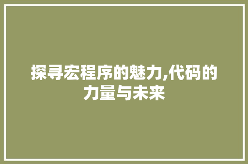 探寻宏程序的魅力,代码的力量与未来 探寻宏程序的魅力,代码的力量与未来 搜狗SEO