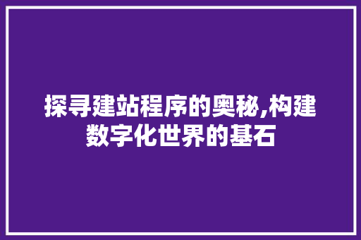 探寻建站程序的奥秘,构建数字化世界的基石 探寻建站程序的奥秘,构建数字化世界的基石 神马SEO