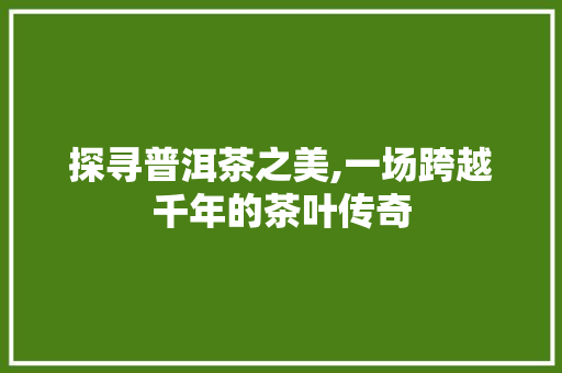 探寻普洱茶之美,一场跨越千年的茶叶传奇 探寻普洱茶之美,一场跨越千年的茶叶传奇 网站建设公司