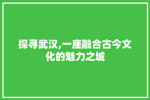 探寻武汉,一座融合古今文化的魅力之城 探寻武汉,一座融合古今文化的魅力之城 必应SEO