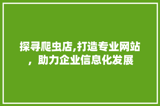 探寻爬虫店,打造专业网站，助力企业信息化发展 探寻爬虫店,打造专业网站，助力企业信息化发展 网站建设公司