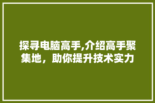 探寻电脑高手,介绍高手聚集地，助你提升技术实力 探寻电脑高手,介绍高手聚集地，助你提升技术实力 神马SEO