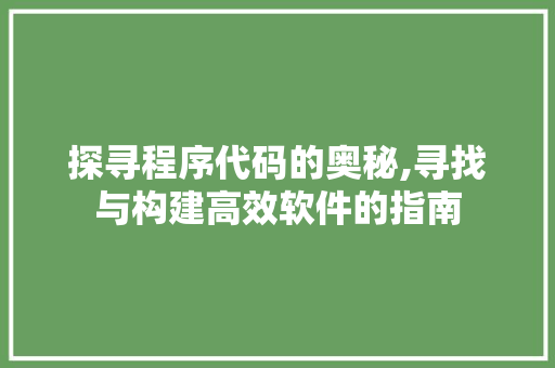 探寻程序代码的奥秘,寻找与构建高效软件的指南 探寻程序代码的奥秘,寻找与构建高效软件的指南 必应SEO