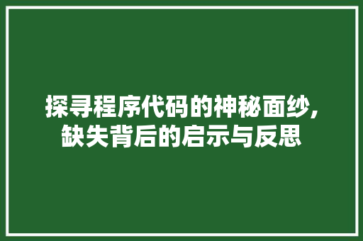 探寻程序代码的神秘面纱,缺失背后的启示与反思 探寻程序代码的神秘面纱,缺失背后的启示与反思 必应SEO