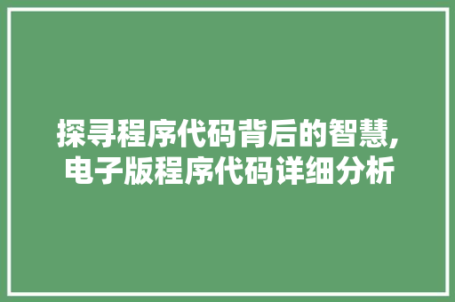 探寻程序代码背后的智慧,电子版程序代码详细分析 探寻程序代码背后的智慧,电子版程序代码详细分析 SEO关键词