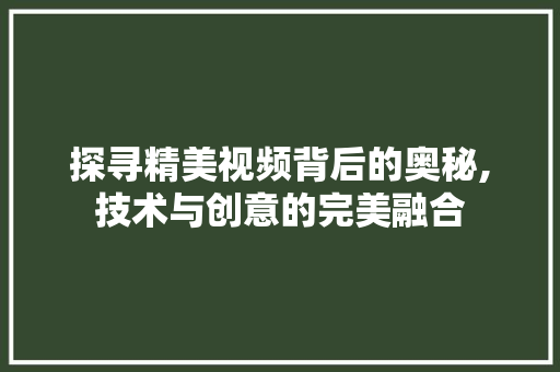 探寻精美视频背后的奥秘,技术与创意的完美融合 探寻精美视频背后的奥秘,技术与创意的完美融合 神马SEO