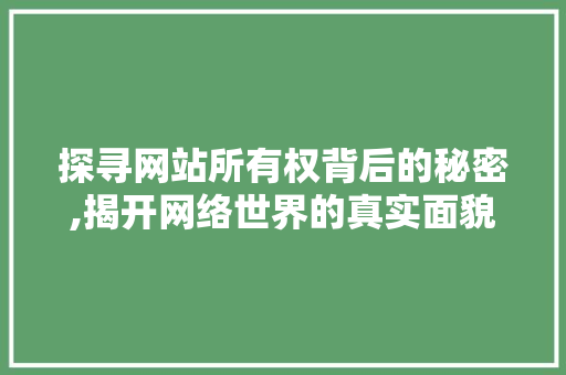 探寻网站所有权背后的秘密,揭开网络世界的真实面貌 探寻网站所有权背后的秘密,揭开网络世界的真实面貌 网站建设公司
