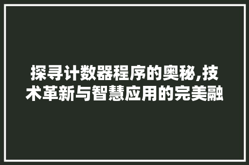 探寻计数器程序的奥秘,技术革新与智慧应用的完美融合 网站建设公司 探寻计数器程序的奥秘,技术革新与智慧应用的完美融合 探寻计数器程序的奥秘,技术革新与智慧应用的完美融合 网站建设公司