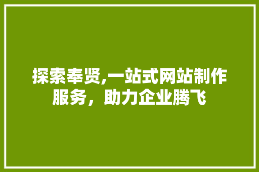 探索奉贤,一站式网站制作服务，助力企业腾飞 探索奉贤,一站式网站制作服务，助力企业腾飞 百度SEO