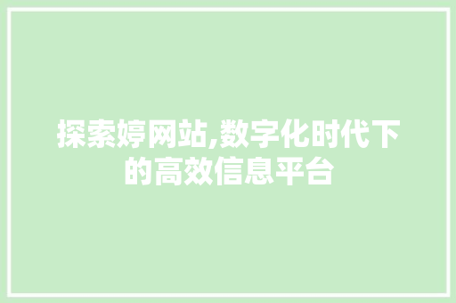 探索婷网站,数字化时代下的高效信息平台 探索婷网站,数字化时代下的高效信息平台 搜狗SEO