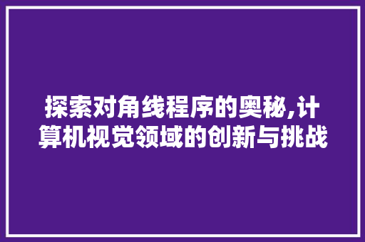探索对角线程序的奥秘,计算机视觉领域的创新与挑战 探索对角线程序的奥秘,计算机视觉领域的创新与挑战 网站建设公司