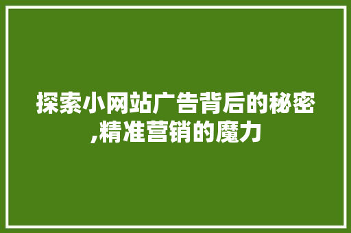 探索小网站广告背后的秘密,精准营销的魔力 探索小网站广告背后的秘密,精准营销的魔力 神马SEO