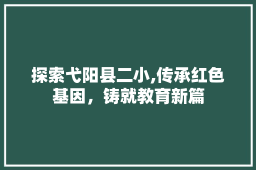 探索弋阳县二小,传承红色基因，铸就教育新篇 探索弋阳县二小,传承红色基因，铸就教育新篇 网站建设公司