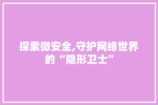 探索微安全,守护网络世界的“隐形卫士” 探索微安全,守护网络世界的“隐形卫士” 百度SEO
