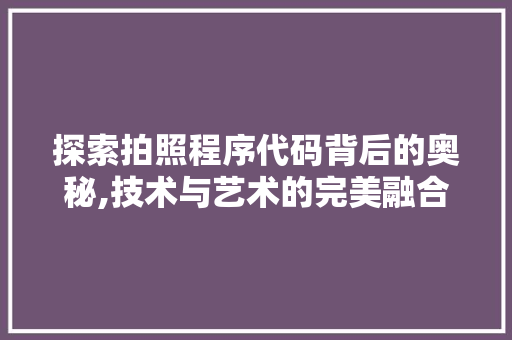 探索拍照程序代码背后的奥秘,技术与艺术的完美融合 探索拍照程序代码背后的奥秘,技术与艺术的完美融合 网站建设公司