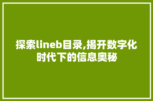探索lineb目录,揭开数字化时代下的信息奥秘 探索lineb目录,揭开数字化时代下的信息奥秘 神马SEO
