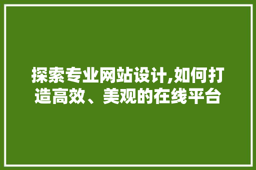 探索专业网站设计,如何打造高效、美观的在线平台 探索专业网站设计,如何打造高效、美观的在线平台 必应SEO