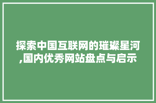 探索中国互联网的璀璨星河,国内优秀网站盘点与启示 探索中国互联网的璀璨星河,国内优秀网站盘点与启示 网站建设公司