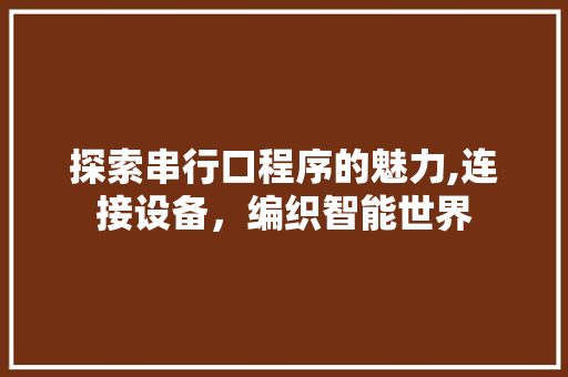 探索串行口程序的魅力,连接设备，编织智能世界 探索串行口程序的魅力,连接设备，编织智能世界 SEO关键词