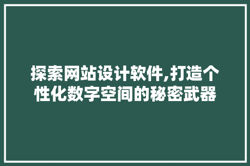 探索网站设计软件,打造个性化数字空间的秘密武器 探索网站设计软件,打造个性化数字空间的秘密武器 必应SEO