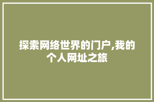 探索网络世界的门户,我的个人网址之旅 探索网络世界的门户,我的个人网址之旅 必应SEO