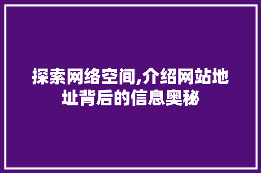 探索网络空间,介绍网站地址背后的信息奥秘 探索网络空间,介绍网站地址背后的信息奥秘 必应SEO